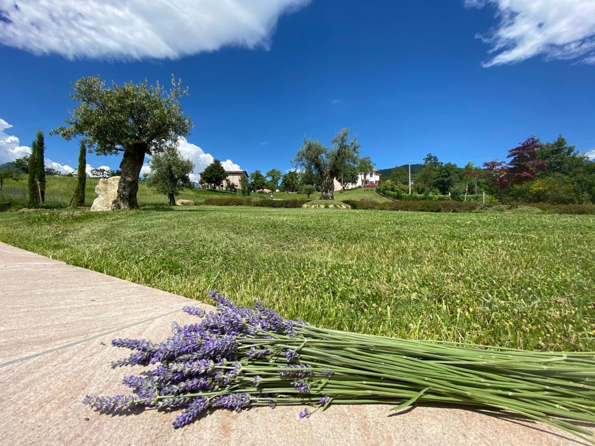 L'Oca Giuliva Relais Bed and Breakfast Gaggio Montano Eksteriør billede